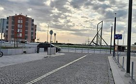 Rosa D'Aveiro